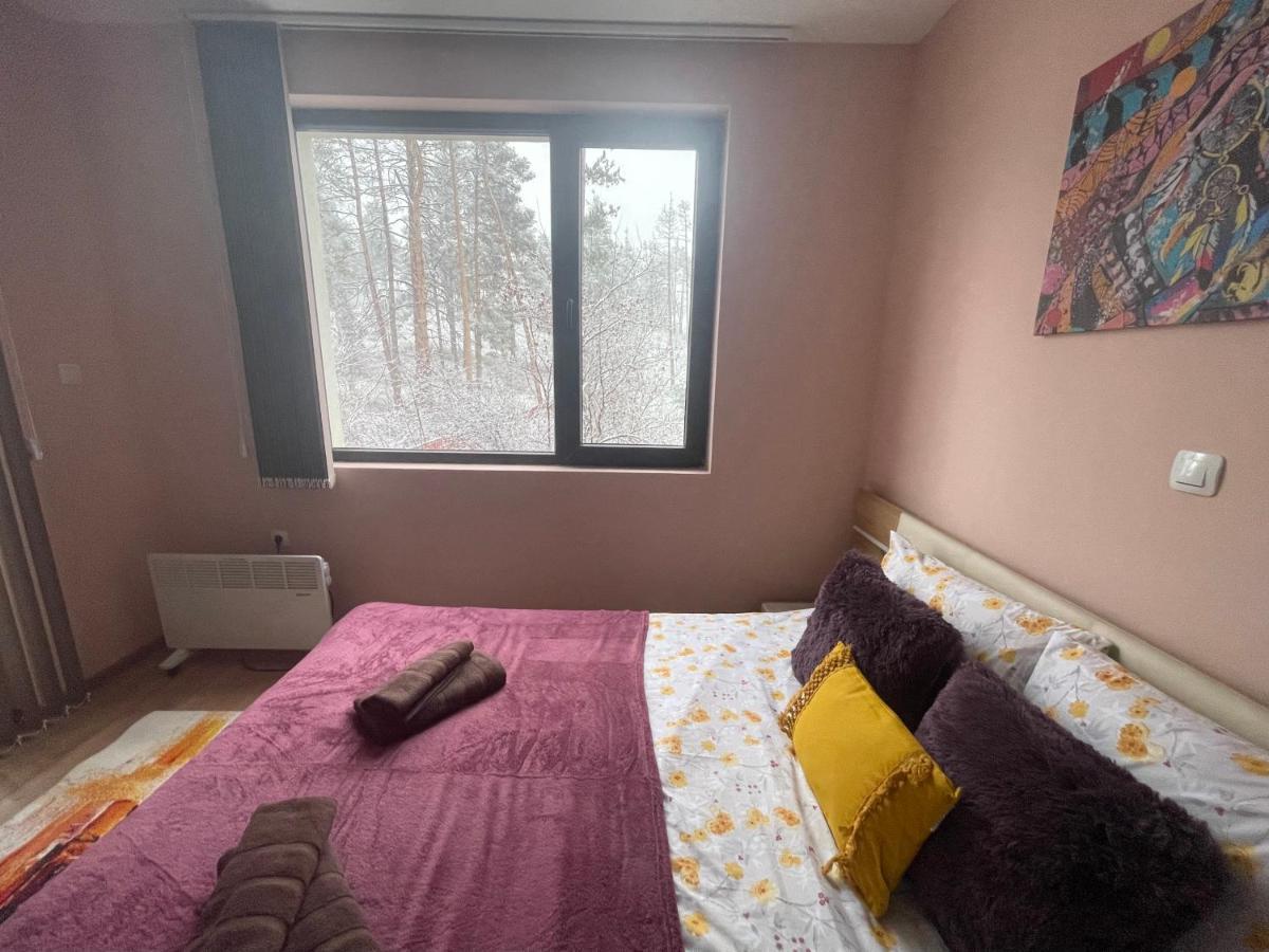 Nikol 2 Deluxe Apartment Velingrad Exterior photo